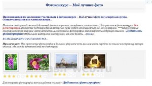 Зробити фотоконкурс з голосуванням на wordpress - частина перша