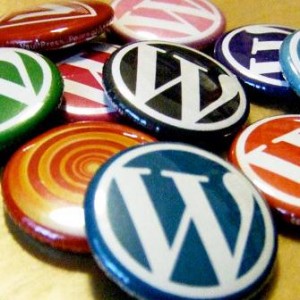 wordpress-css-add-to-post