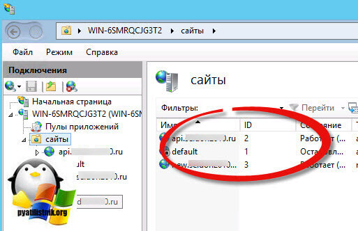 ID сайта IIS