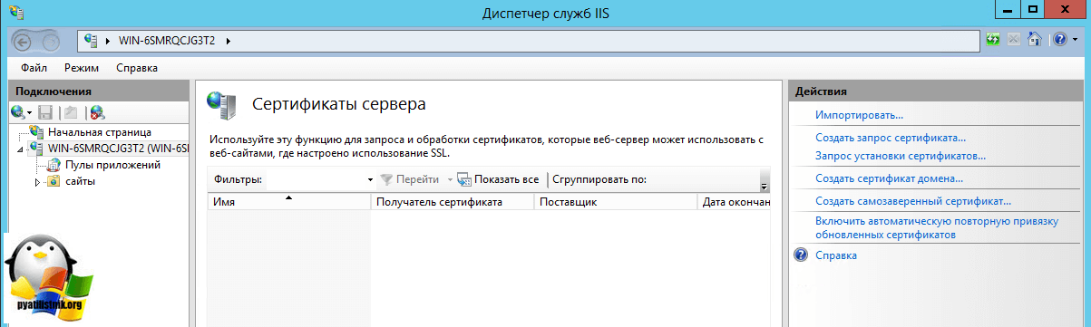 импорт pfx сертификата IIS