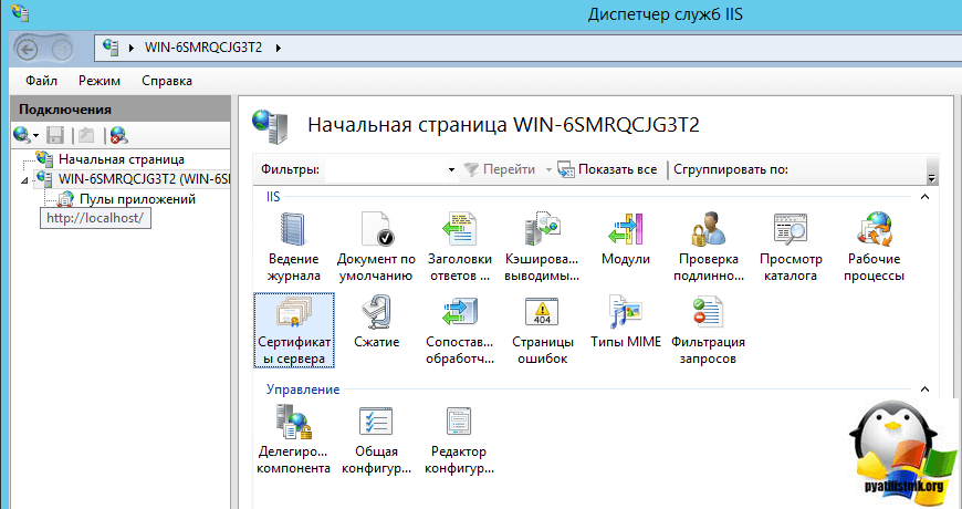 настройка iis