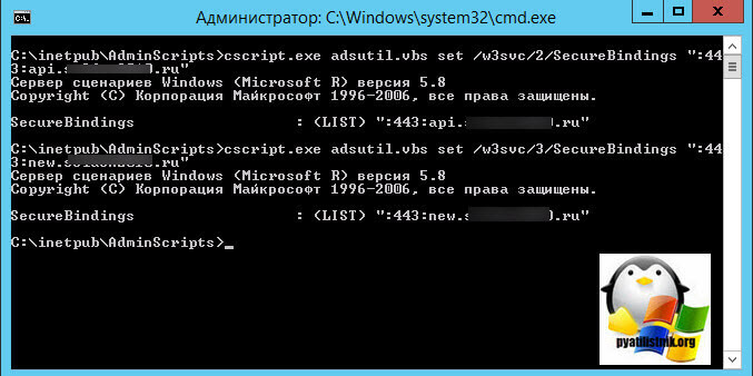 установка ssl на разные сайты iis на одном ip