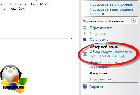 запускаем созданный сайт на iis в Windows Server 2012