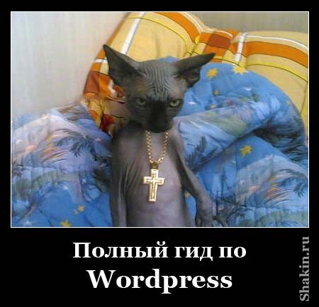 Полный гид по WordPress