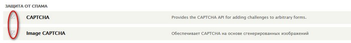Drupal captcha