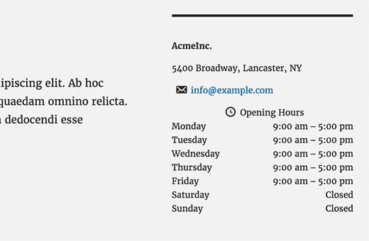 Бизнес-информация и часы работы в WordPress