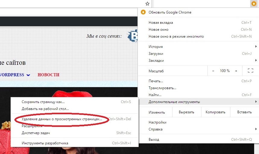 Удаление данных о просмотренных в Google Chrome