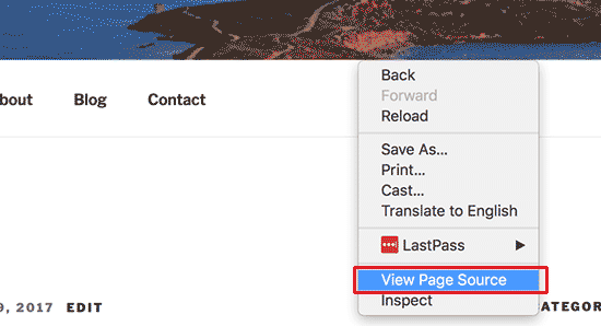 Просмотр страницы источника WordPress сайта