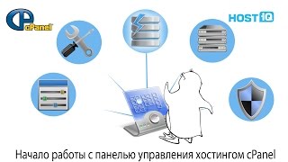 Начало работы с панелью управления хостингом cPanel | HOSTiQ