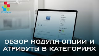 Обзор модуля Опции и атрибуты в категориях #28