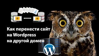 Как перенести сайт на Wordpress на новый хостинг, домен